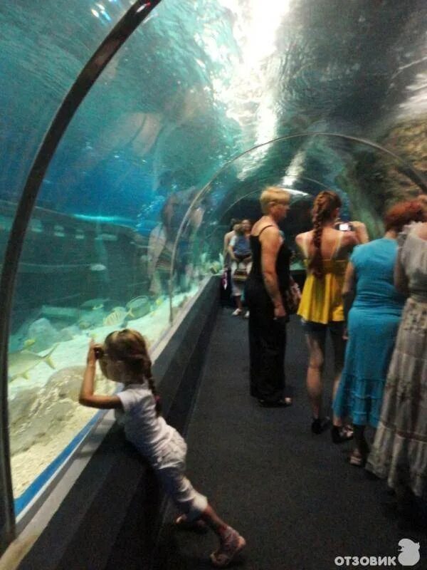 Аквалоо аквапарк. Куда сходить в лоо. Аквапарк лоо вардане. Парк в лоо краснодарский край. Парк аквалоо в сочи.