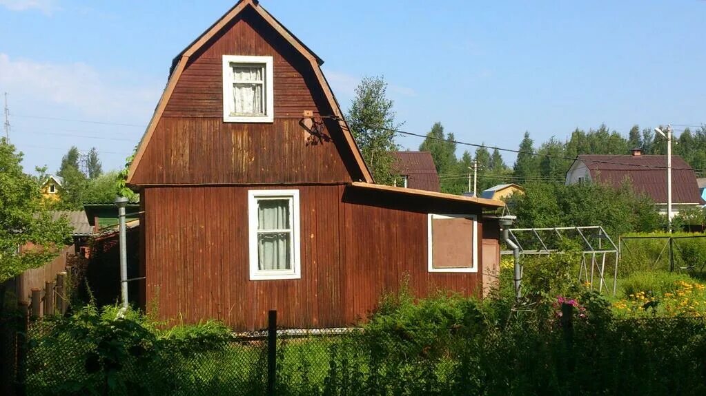 Снт березка 3. Голицыно снт березка 3. Снт березка 3. Снт лето сушкинская. Снт березка уфа.