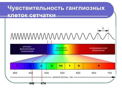 Значение видимого света