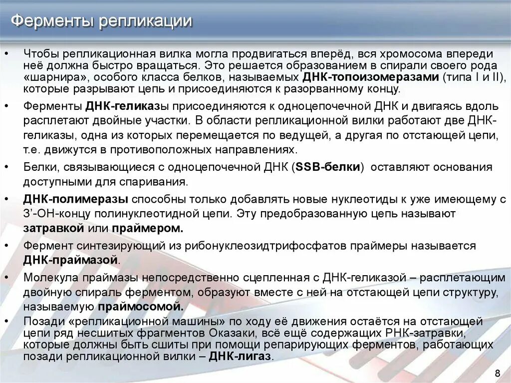 Фермент вилка. Ферменты репликационной вилки. Ферменты в репликационной вилке. Ферменты и белки репликации. Репликативная вилка. Ферменты репликации.