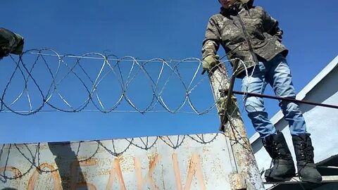 Включи егозу