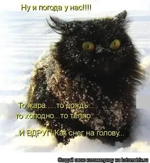 Но мне не холодно мне горячо