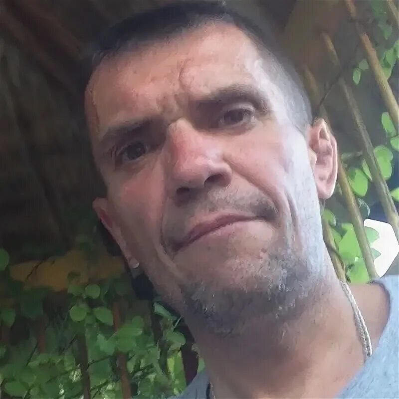 Igor frank. Igor frank