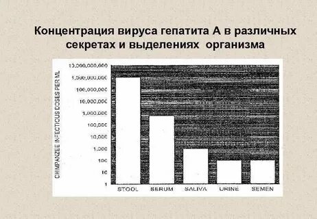 Большая концентрация