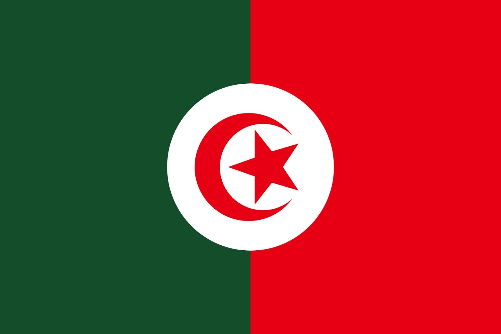 Как выглядит флаг алжир 1600x900px, 720P free download Flag of Algeria grunge art, rhombus grunge textur