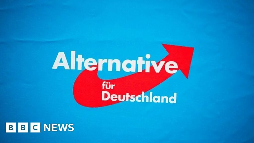 Alternative fuer deutschland. Alternative fuer deutschland. Afd логотип. Alternative fuer deutschland. Alternative fuer deutschland.