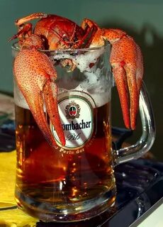 Пьющий рак