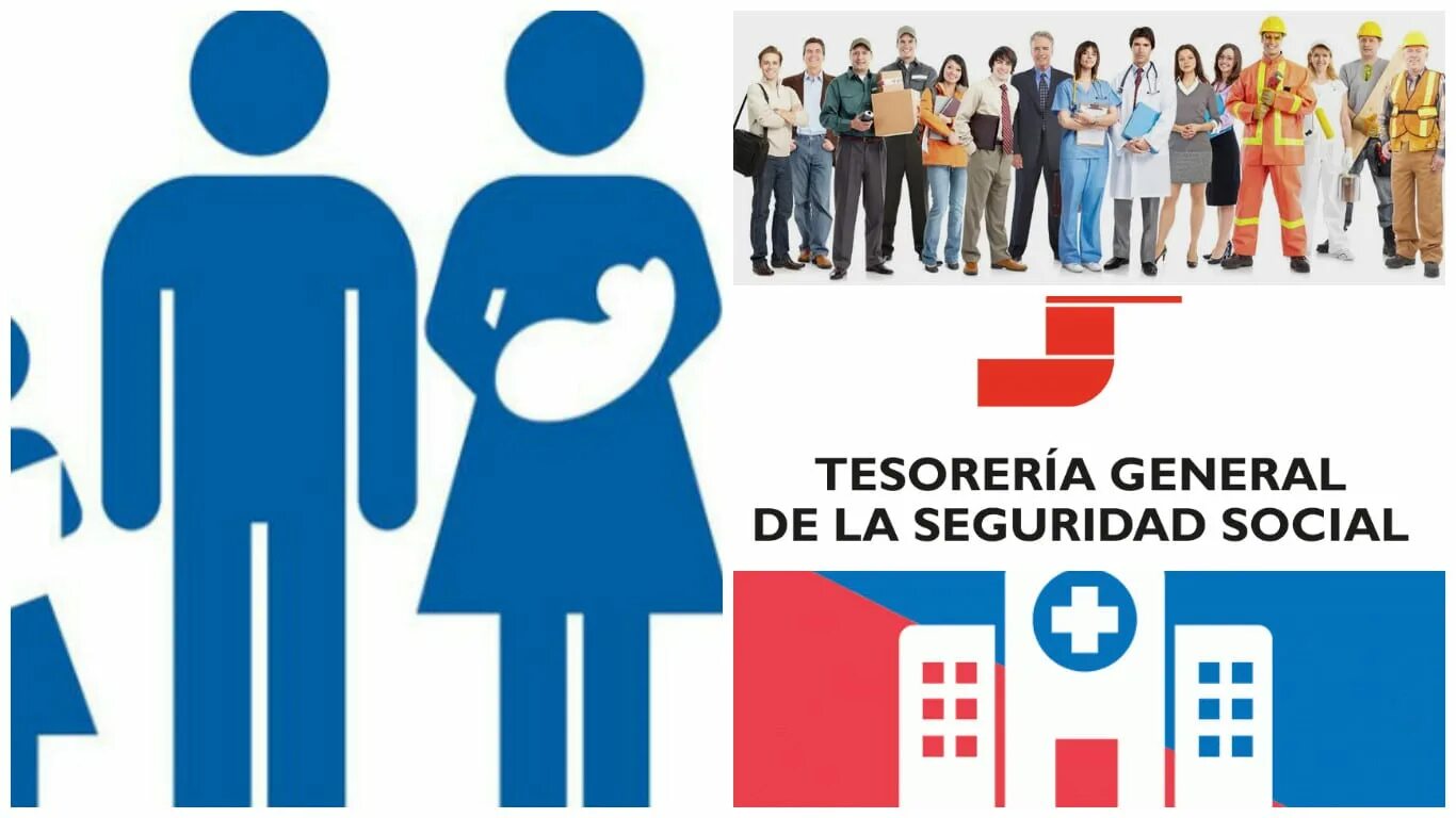 Seguridad social. Seguridad social. Seguridad social. Seguridad social. Seguridad social.