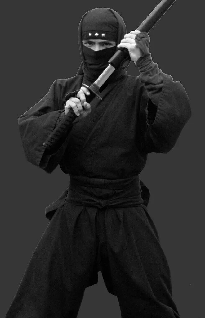 Стиль ниндзя. Устанавливаем ninja. Тактический ниндзя. Устанавливаем ninja. Ninja mode иконка.