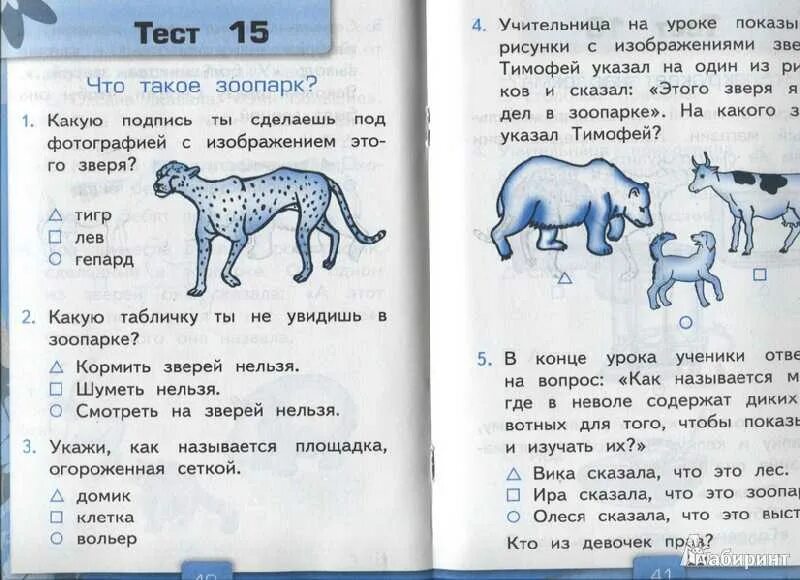 Окружающий мир 3 класс проверочная работа животные. Тест по окружающему миру. тест по окр миру. окружающий мир. 1 класс. тесты. проверочная работа тест.