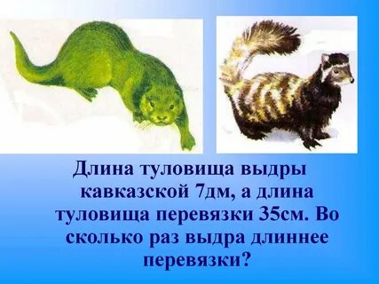 Перевязка занесена в красную книгу или нет