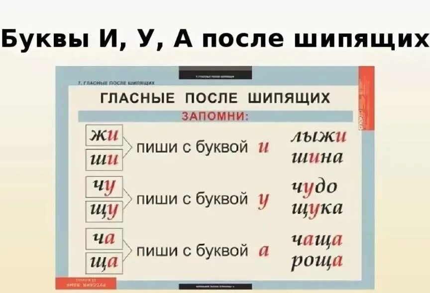 Слова пишущиеся с буквой ш
