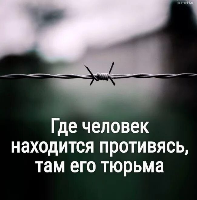 Но нет сил противиться судьбе