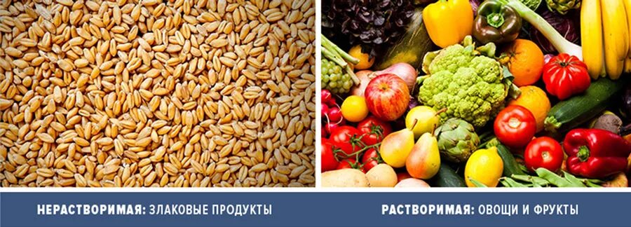 Нерастворимая клетчатка продукты. Растворимая и нерастворимая клетчатка. Растворимые пищевые волокна. Нерастворимая клетчатка. Водорастворимая клетчатка.