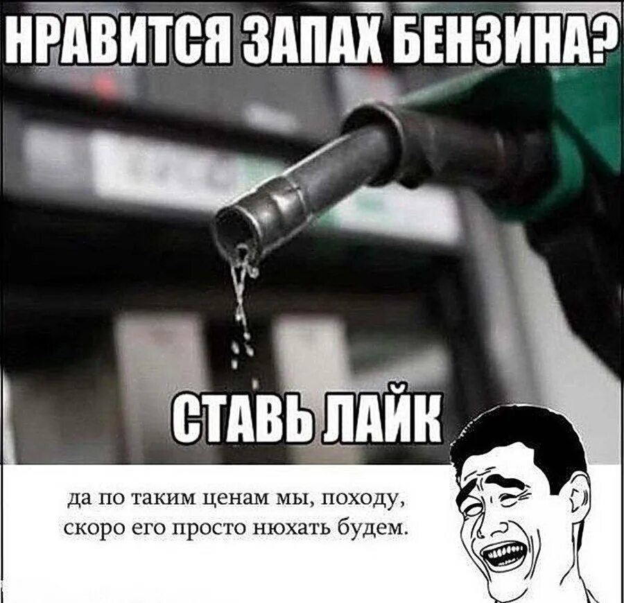 Нанюхался бензина. Обожаю запах бензина. Приколы про бензин картинки. Он подумал понюхал пахнет