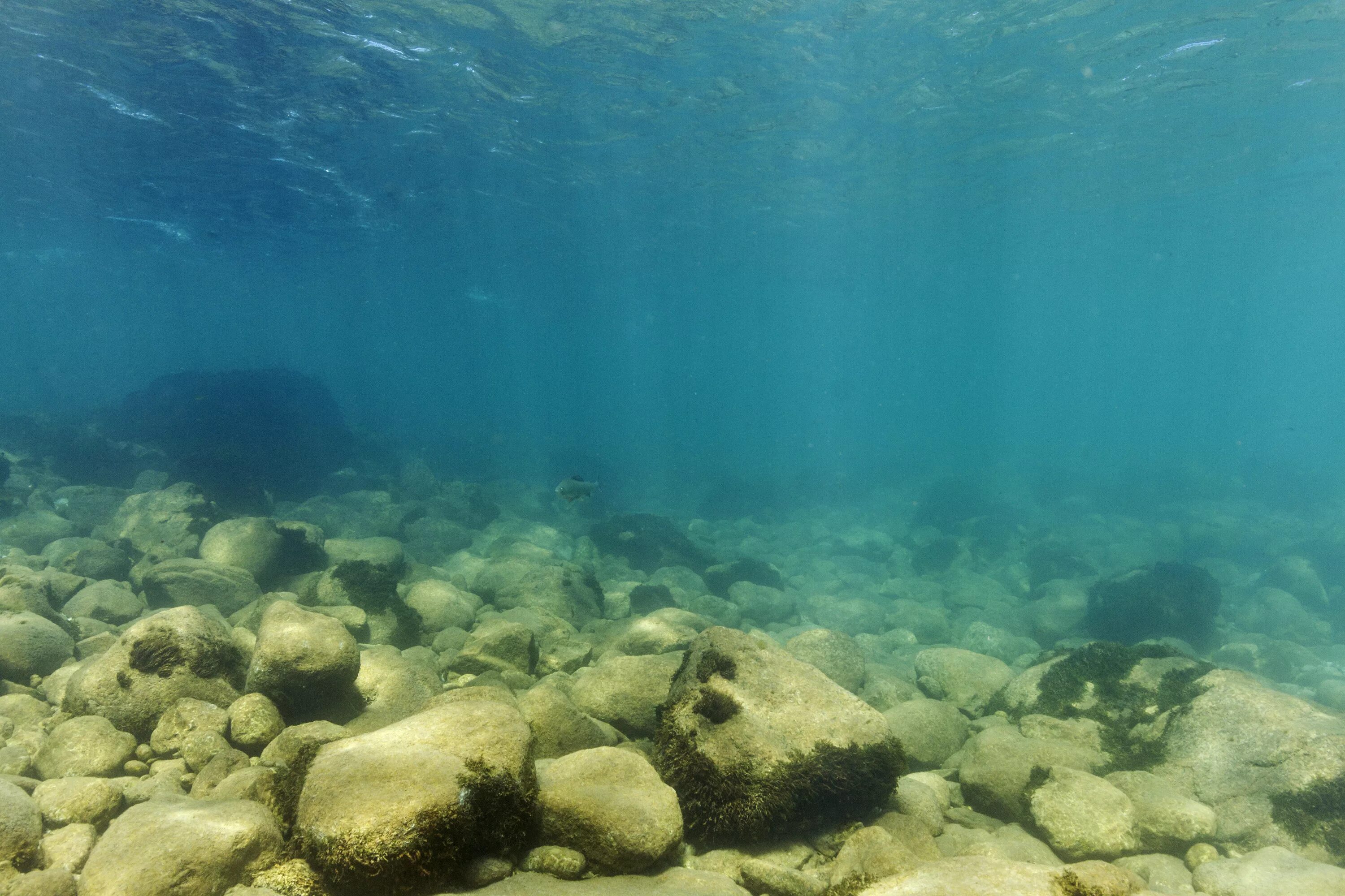 Река в океане 7. Дно реки. Под водой. Река под водой. В толще воды.