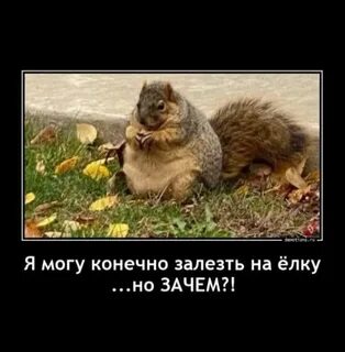 Но зачем