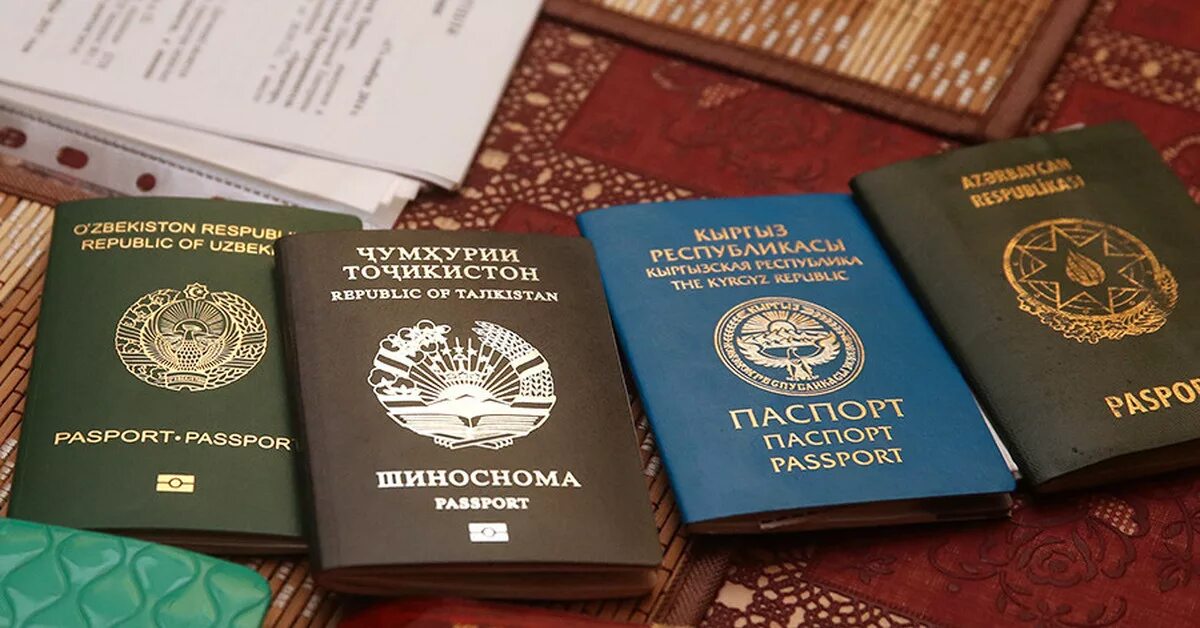 Много паспортов. Гражданство стран снг. Много паспортов. Административно-правовой статус иностранных граждан. Гражданство стран снг.