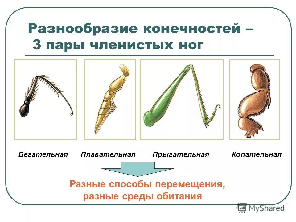 Способы описания движения физика. Различные способы движения. Векторный координатный и естественный способы описания движения. Движение краевой дислокации. Различные способы движения.