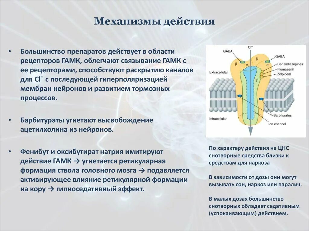 Снотворные механизм действия. Механизм действия снотворных. Снотворные средства механизм действия. Механизм действия снотворных препаратов. Снотворные средства механизм действия фармакология.