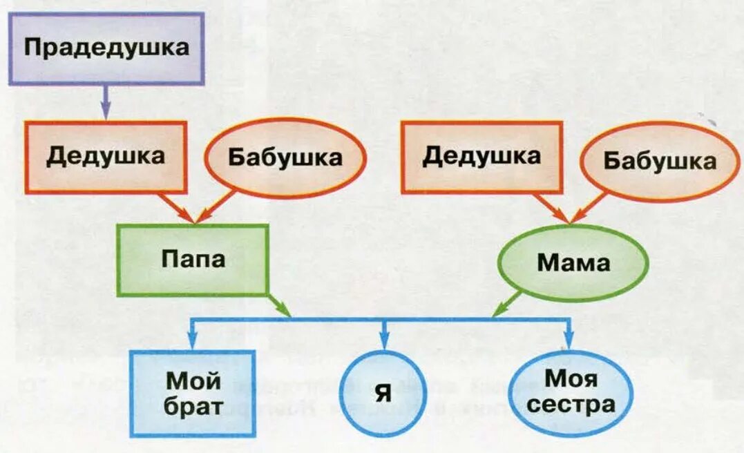 Родословная окружающий мир. Окружающий мир проект родословная. Родословная 3 класс окружающий мир. Проект моя родословная 2 класс окружающий мир. Окружающий мир 2 класс проект родословная плешаков