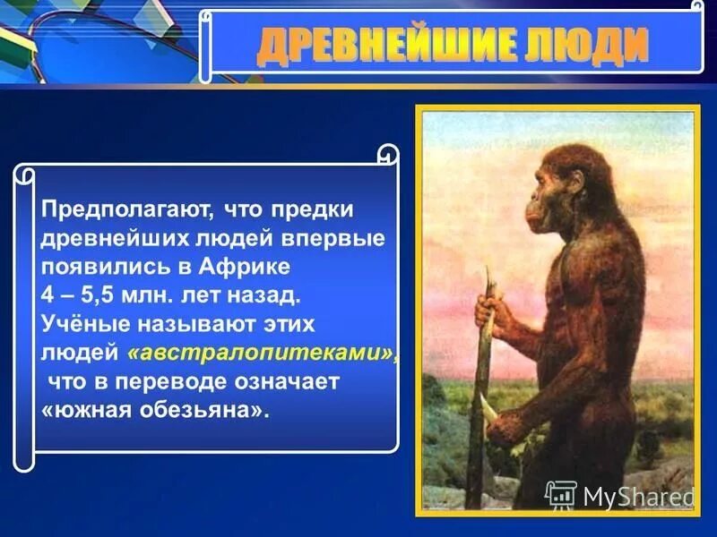 К предкам человека не относится