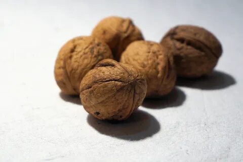 Орех который похож на грецкий орех