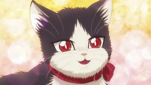Кошка хару