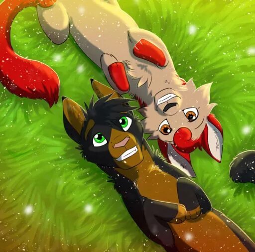 коты воители эвкалиптус сплэш. коты воители домино. Dominoclaw коты воители. Cats warriors dominoclaw. коты воители огнезвёзд от river spirit.