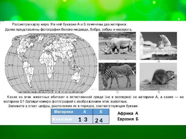 Животные африки 4 класс окружающий мир впр. ВПР окружающий мир материки. Материки на карте ВПР.