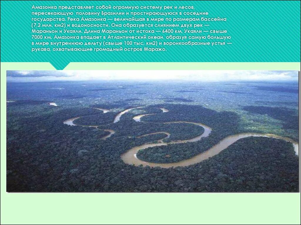 Река Амазонка география 7 класс. Река Амазонка презентация. Река Амазонка доклад. Река Амазонка интересные факты кратко.