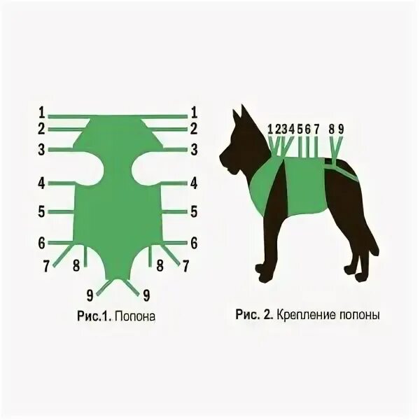 Через сколько можно снять попону. Как завязать попону собаке. Попона для собаки после стерилизации. Как завязать попону кошке. Как завязывать попону собаке.