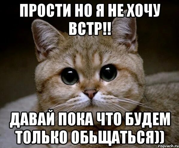 Сейчас давай пока. Пока. прости я не хотел. прости но я такой. давай пока пока.