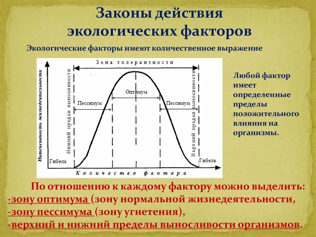 Примеры влияния экологических факторов на организмы. Действие экологического фактора на живой организм. Действие экологического фактора на живой организм схема. Действие экологических факторов. Законы действия экологических факторов.