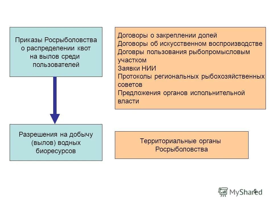 приказ о распределении квоты