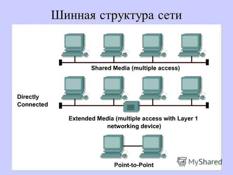 Структура компьютерной сети. Структура сети. шинная структура сети. структура офисной сети.