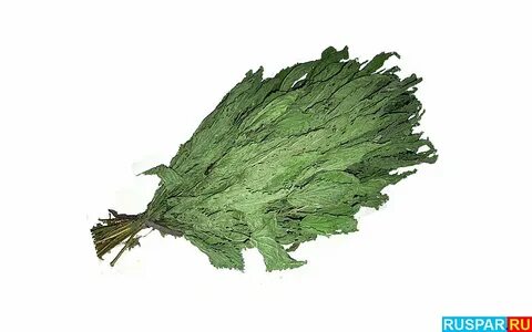 Веник из крапивы
