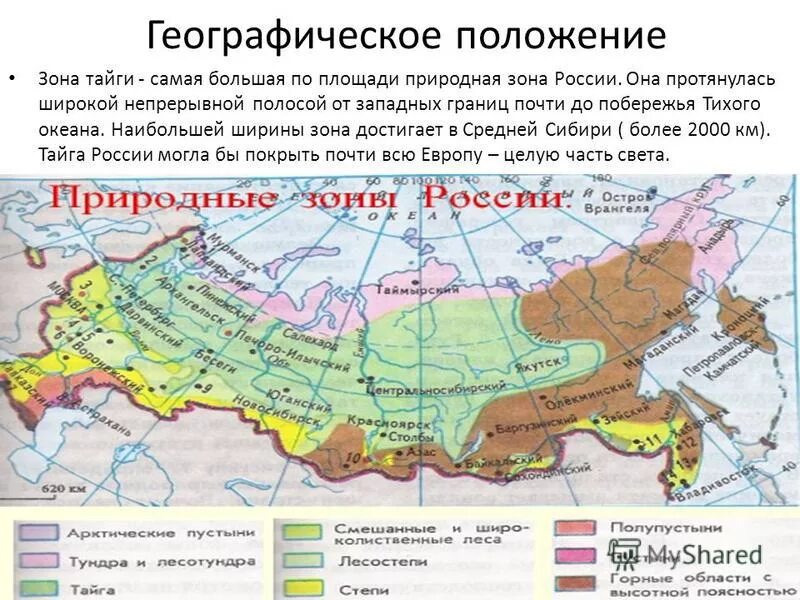 Наибольшая площадь природной зоны в россии