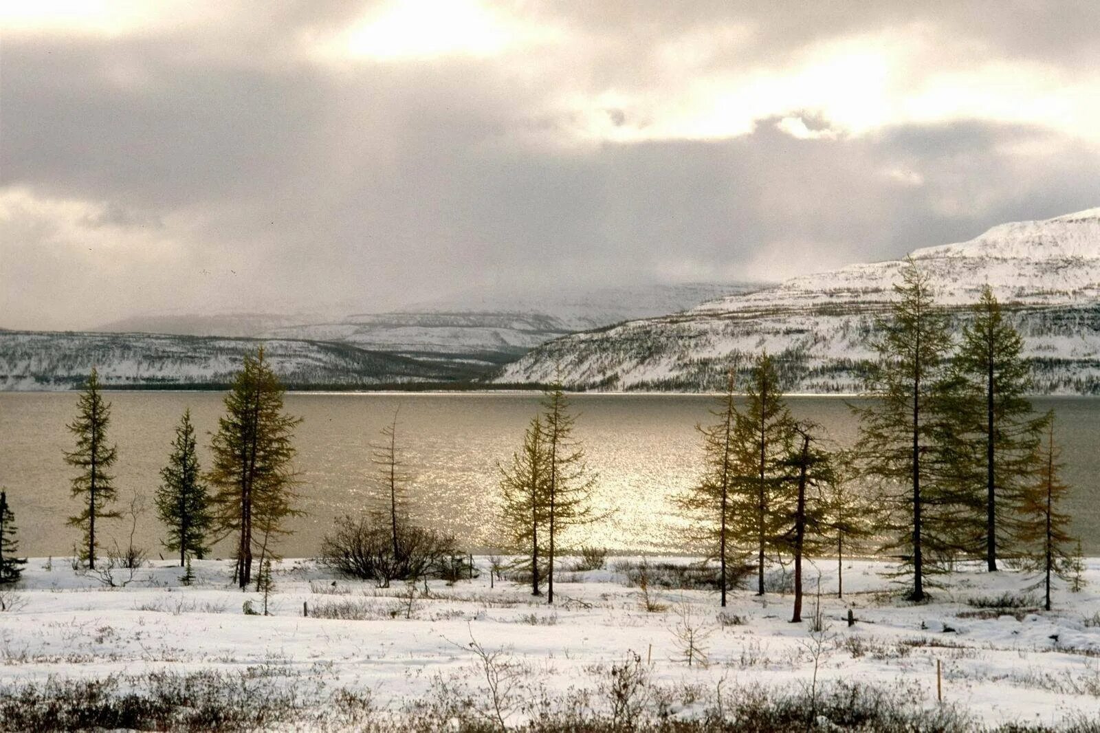 Плато Путорана Хантайское озеро. Озеро Хантайское Норильск. Таймырский заповедник озеро Таймыр. Полуостров Таймыр Норильск. Тундра полуострова таймыр