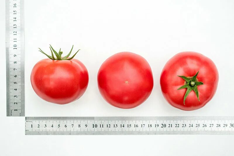 Семена томатов королева. Томат Королева f1. Партнер томат Королева f1. Томат Королева f1 описание. Томат Вишневая Королева f1.