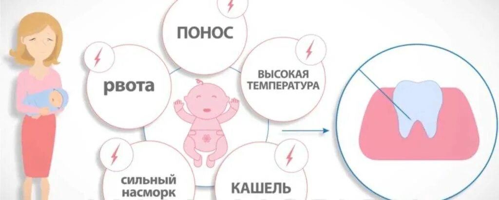 Сколько длится температура при прорезывании