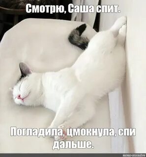 Сонный мем