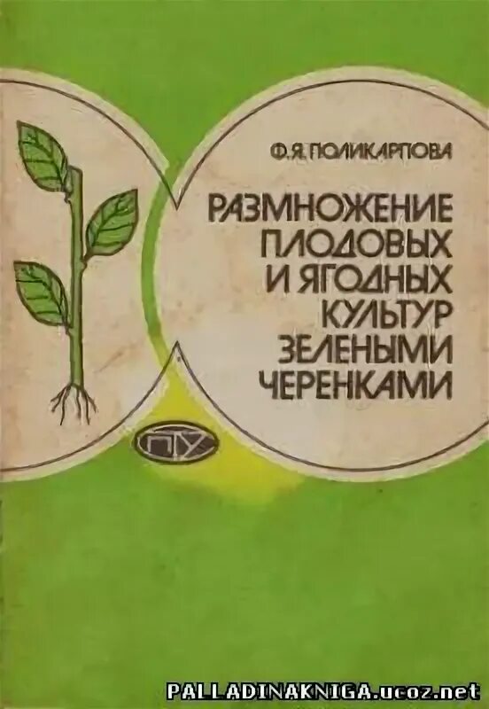 Дуговидными отводками вегетативное размножение. Отводки вегетативное размножение. Размножение плодовых культур. Стеблевые черенки размножение. Кизильник блестящий черенкование.