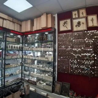 Золотая антилопа пятигорск