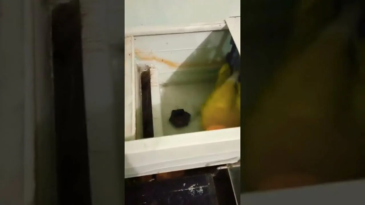 Lg mandi. Lg mandi. Мальчик pi pi. Ngintip abg smp mandi telanjang bulat. Ngemut kontol sampai muncrat.