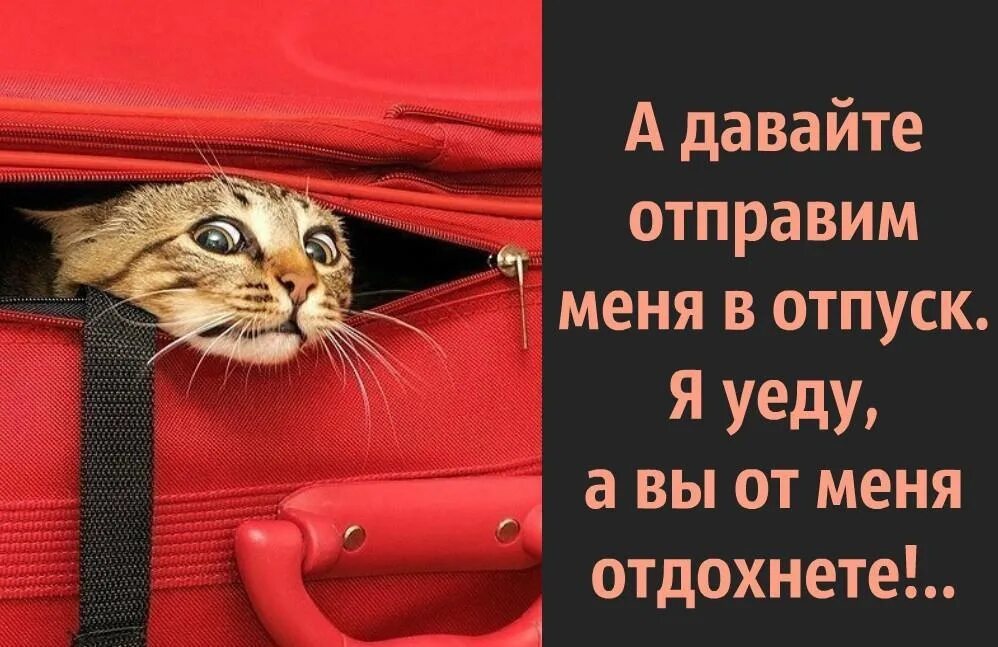 Обратно в отпуск. Скоро в отпуск. я в отпуске картинки. хочу в отпуск. уезжаю в отпуск.