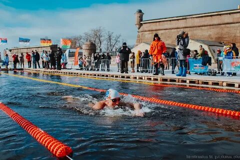 Кубок большой невы