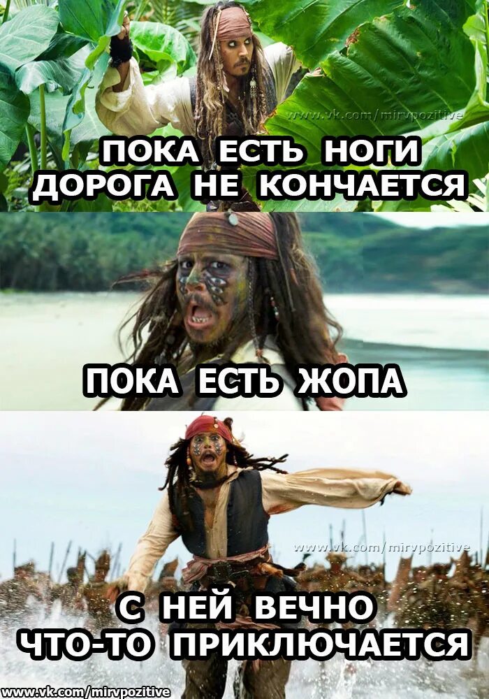 А пока я ем. Торты для детей. Приколы про старость. Сладости картинки для детей. А пока я ем.