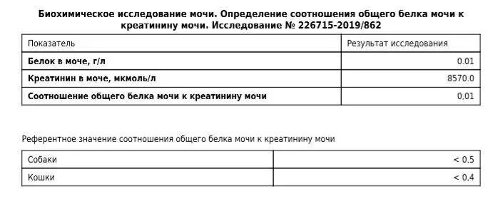 Соотношение белок креатинин норма. Соотношение белок креатинин в моче. Креатинин в моче показатели норма. Белок креатинин в моче у собак.