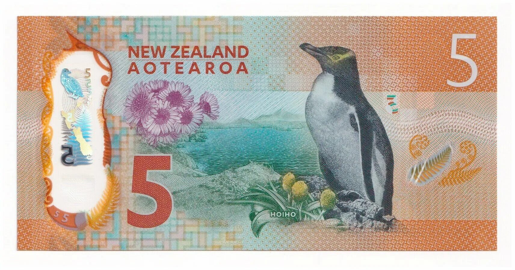 Новые 5 долларов. 5 Долларов новая Зеландия банкнота. 5 Долларов новой Зеландии. Купюра 5 доллара новая Зеландия. Новая Зеландия 5 долларов 2015.